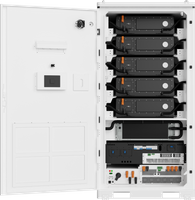  Shinegiant 125kW/261kWh סוללה מקוררת נוזל ארון אחסון אנרגיה